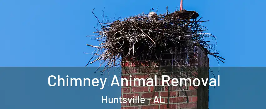 Chimney Animal Removal Huntsville - AL