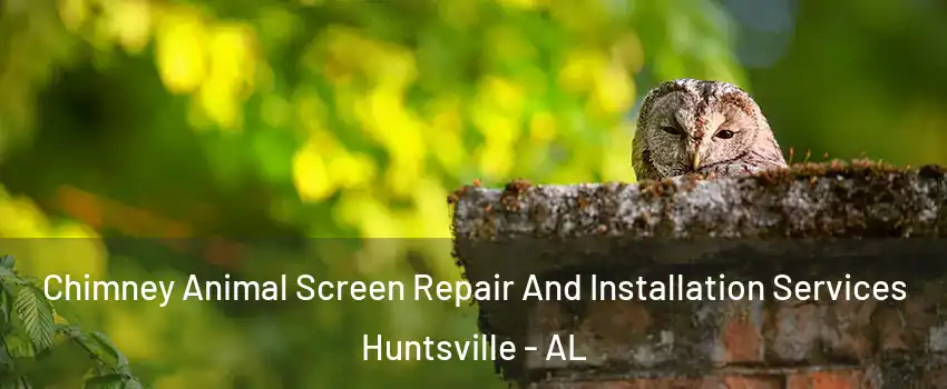  Chimney Animal Screen Repair And Installation Services Huntsville - AL