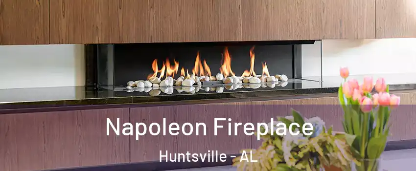  Napoleon Fireplace Huntsville - AL